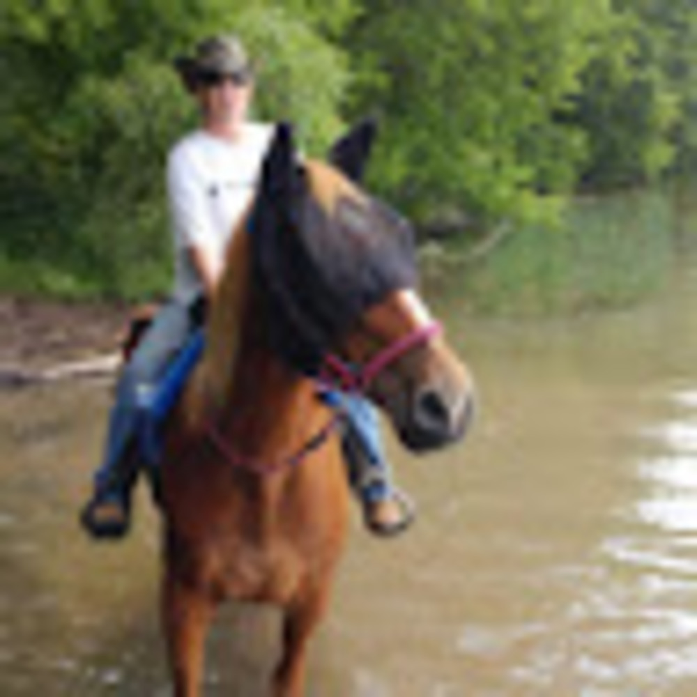 Meet your Posher, Nina